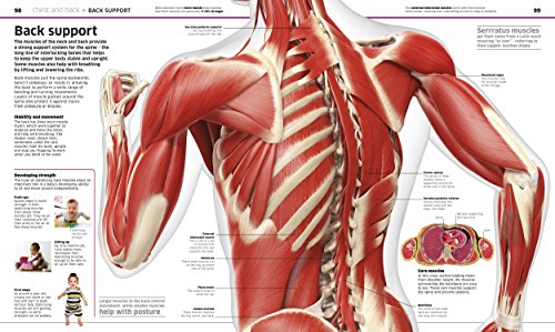 Knowledge Encyclopedia: Human Body!: Your Amazing Body As You've Never Seen It Before - Retail Maharaj