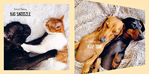Chonk And Smol: Puppers, woofers, Floofers and Frens - Retail Maharaj