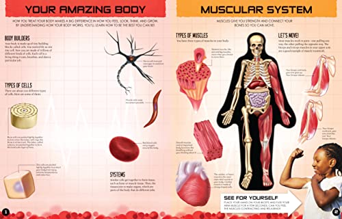 Inside Out Human Body - Retail Maharaj
