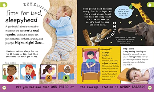 My Very Important Human Body Encyclopedia: For Little Learners Who Want to Know About Their Bodies - Retail Maharaj