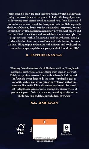 Stain: A Novel - Retail Maharaj