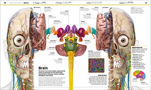 Knowledge Encyclopedia: Human Body!: Your Amazing Body As You've Never Seen It Before - Retail Maharaj
