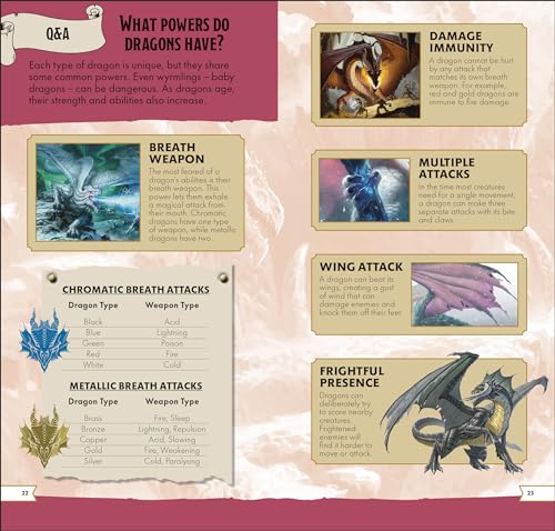 Dungeons & Dragons Pocket Expert - Retail Maharaj