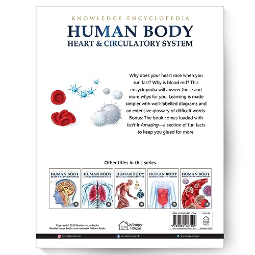 Human Body - Heart And Circulatory System: Knowledge Encyclopedia For Children - Retail Maharaj