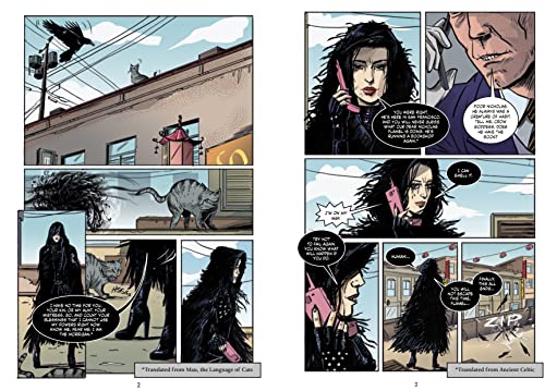 The Alchemyst: The Secrets of the Immortal Nicholas Flamel Graphic Novel - Retail Maharaj