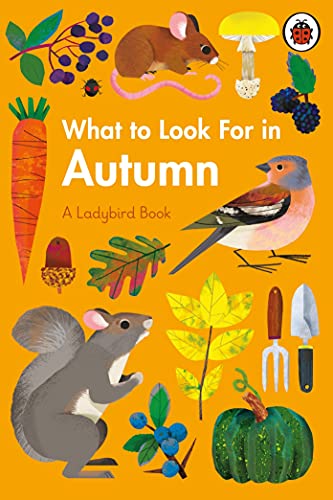 What to Look For in Every Season: A Ladybird Book Boxset - Retail Maharaj