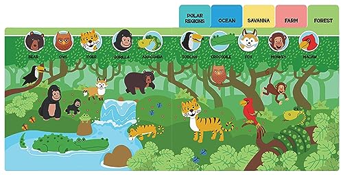Seek And Find - Animals : Early Learning Board Books With Tabs - Retail Maharaj