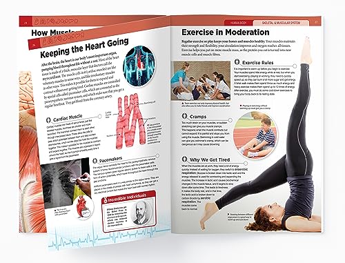 Human Body - Skeletal And Muscular System: Knowledge Encyclopedia For Children - Retail Maharaj