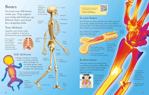 First Encyclopedia of the Human Body - Retail Maharaj