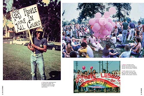 We Are Everywhere: Protest, Power, and Pride in the History of Queer Liberation - Retail Maharaj
