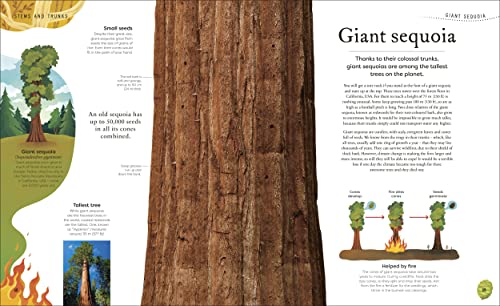 The Secret World of Plants: Tales of More Than 100 Remarkable Flowers, Trees, and Seeds - Retail Maharaj