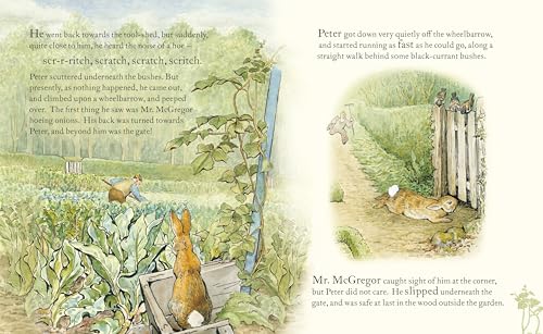 Peter Rabbit: Book and Toy Gift Set: The perfect present for babies and toddlers - Retail Maharaj