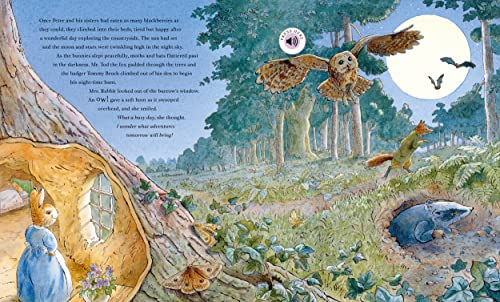 Peter Rabbit: Peter's Nature Walk: A Sound Book - Retail Maharaj