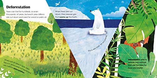 Trees: A lift-the-flap eco book - Retail Maharaj