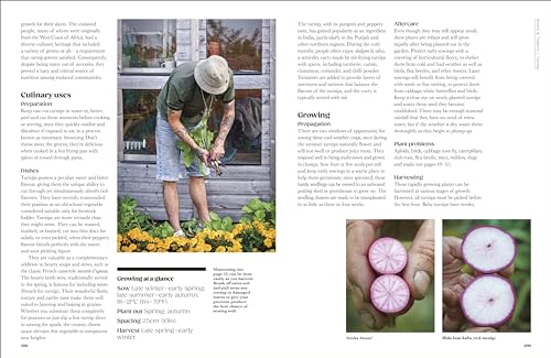 The Seed Hunter: Discover the World's Most Unusual Heirloom Plants - Retail Maharaj