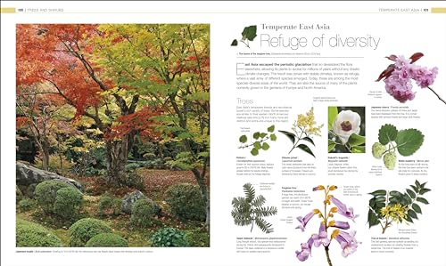 Plants and Fungi: The Definitive Visual Guide - Retail Maharaj