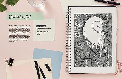 DRAWING FOR THE SOUL: Simple Drawing Projects for Beginners, to Calm, Soothe and Restore - Retail Maharaj