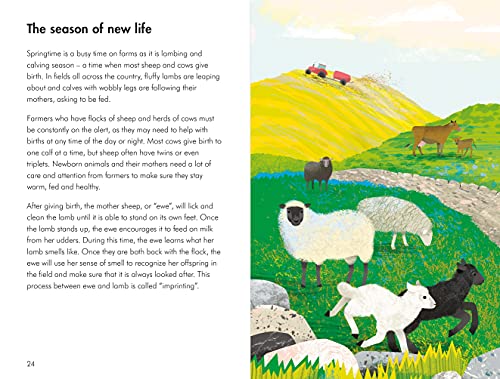 What to Look For in Every Season: A Ladybird Book Boxset - Retail Maharaj