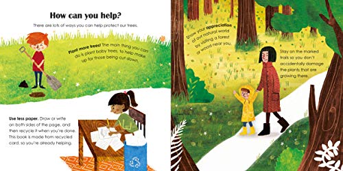 Trees: A lift-the-flap eco book - Retail Maharaj