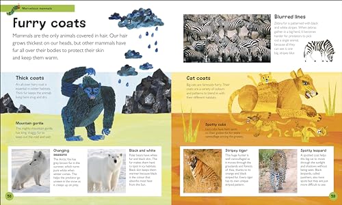 The Very Hungry Caterpillar's Very First Animal Encyclopedia: An Introduction to Animals, For VERY Hungry Young Minds - Retail Maharaj