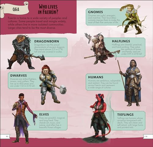 Dungeons & Dragons Pocket Expert - Retail Maharaj