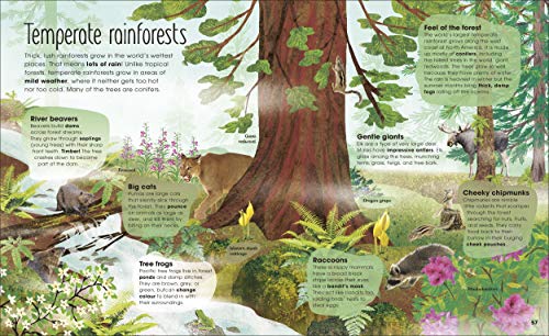 RHS The Magic and Mystery of Trees - Retail Maharaj