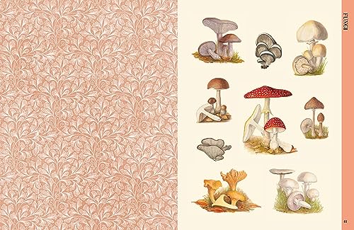 BOTANICAL ART TO CUT OUT & COLLAGE: Over 500 Botanical Illustrations to Inspire Creativity - Retail Maharaj