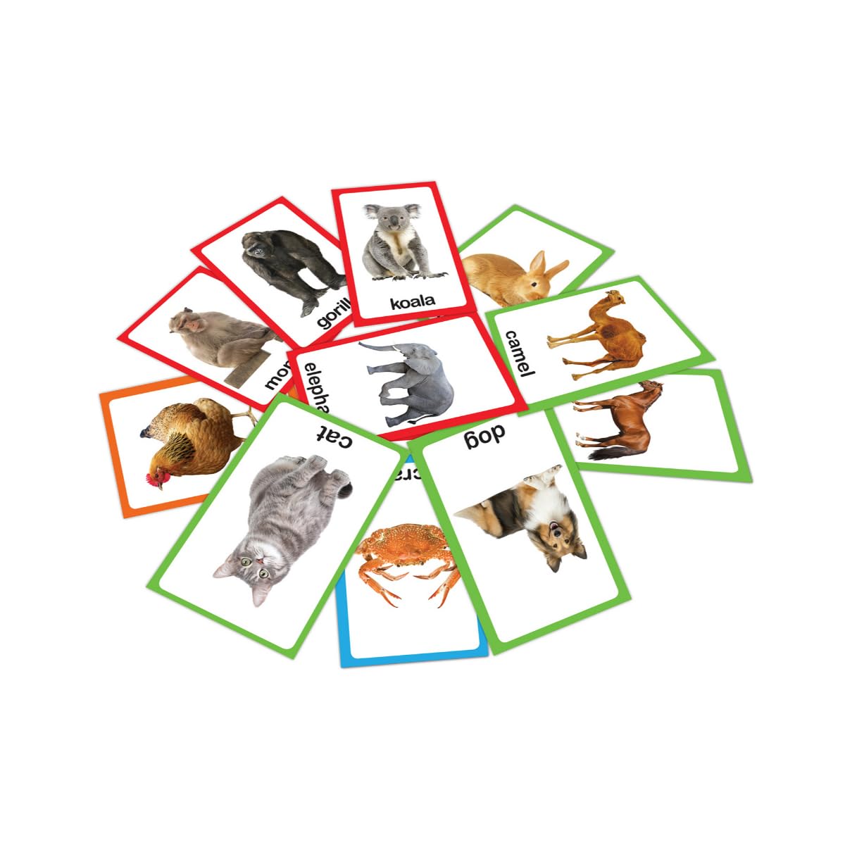 My First Flash Cards: Animals And Birds: 30 Early Learning Flash Cards For Kids - Retail Maharaj