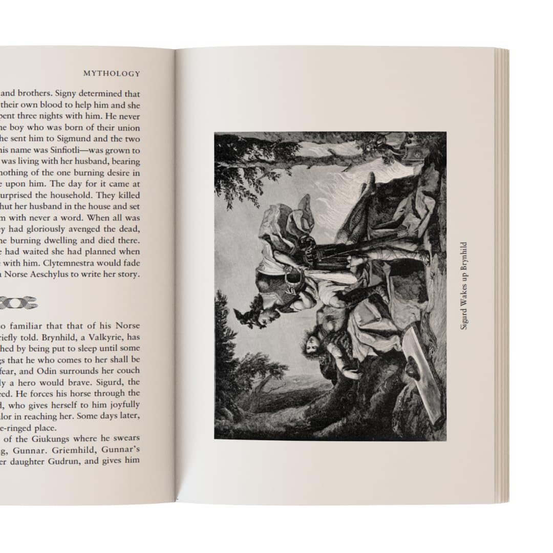 Mythology : Timeless Tales of Gods and Heroes - Retail Maharaj