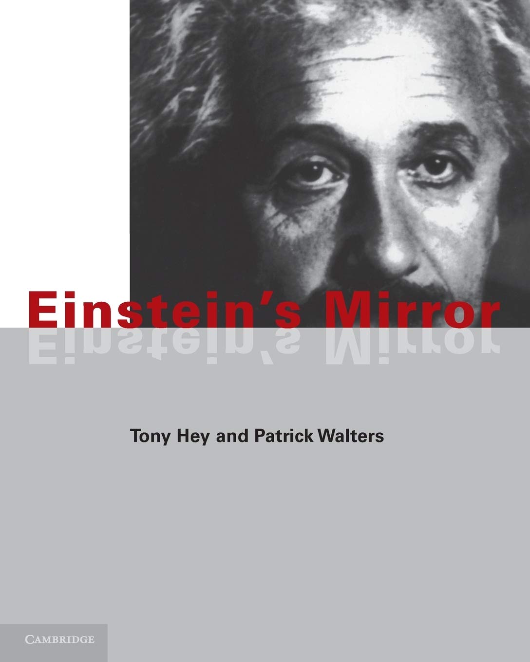 Einstein's Mirror - Retail Maharaj