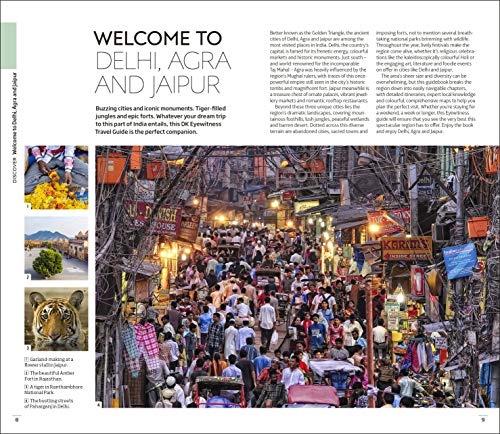 DK Delhi, Agra and Jaipur - Retail Maharaj
