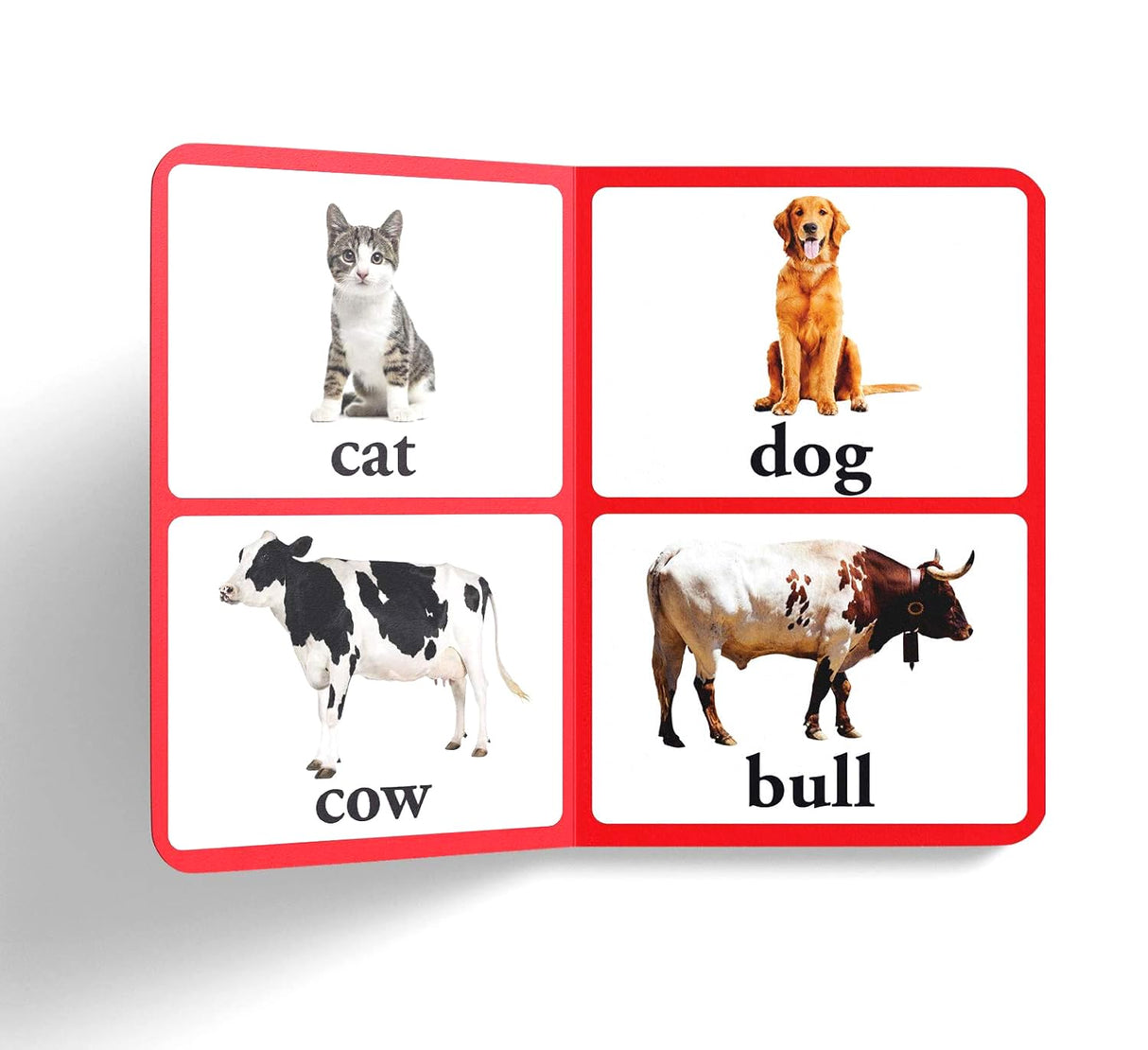 Farm Animals & Pets – Early Learning Board Book with Large Font: Brightly Illustrated Animal Book for Kids | Big Board Books Series for Babies, Toddlers & Preschoolers | Learn About Cows, Dogs, Cats & More with Bold Text & Clear Pictures | Ages 0–5 Years - Retail Maharaj