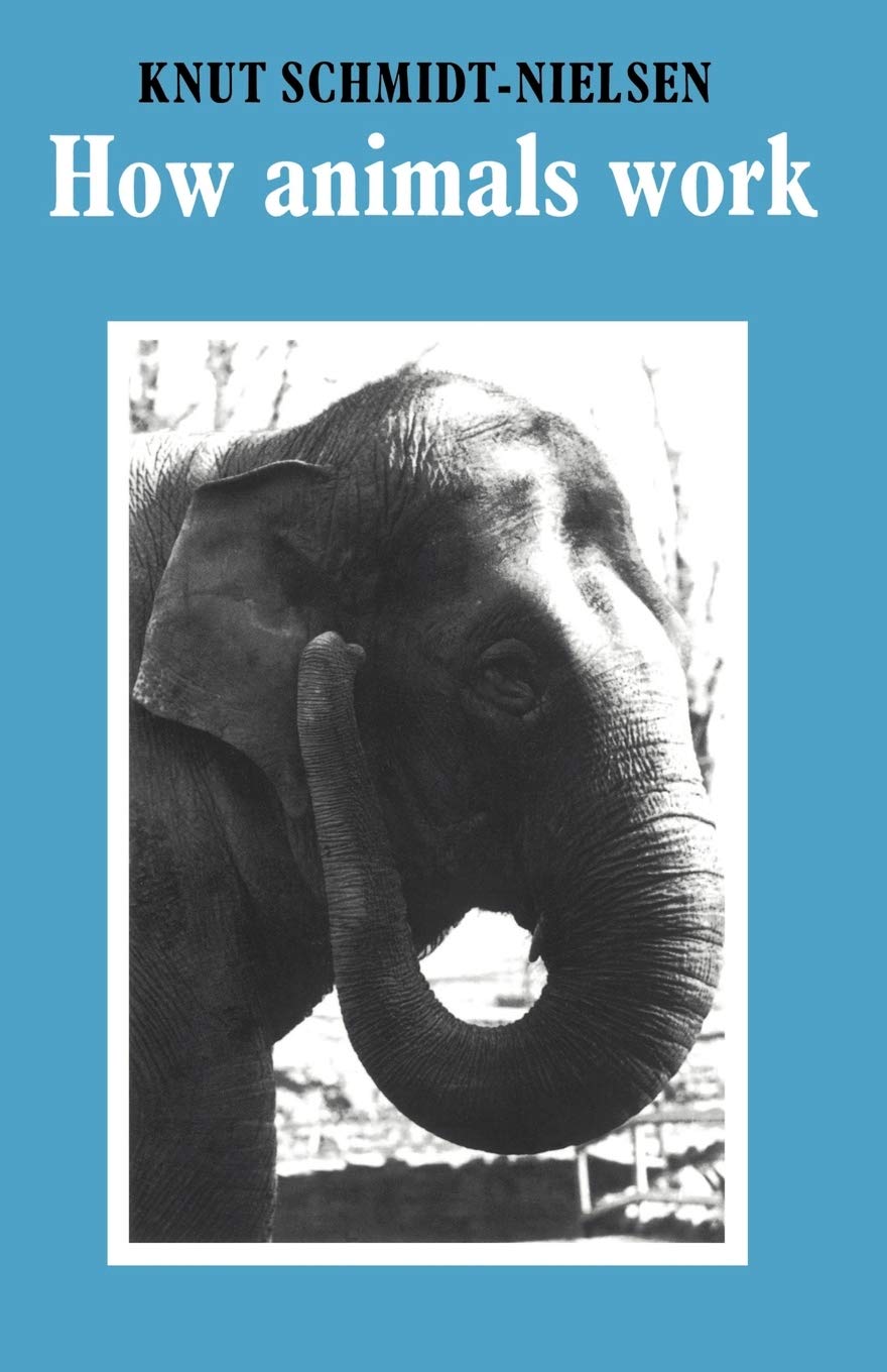 How Animals Work - Retail Maharaj