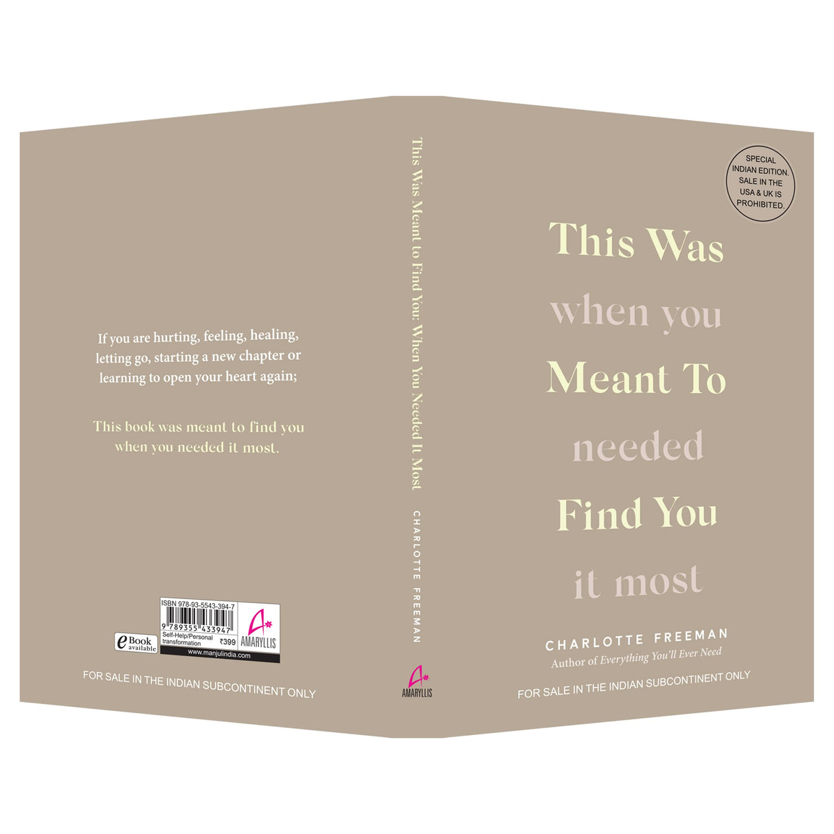 This Was Meant to Find You: When You Needed It Most (English) - Retail Maharaj