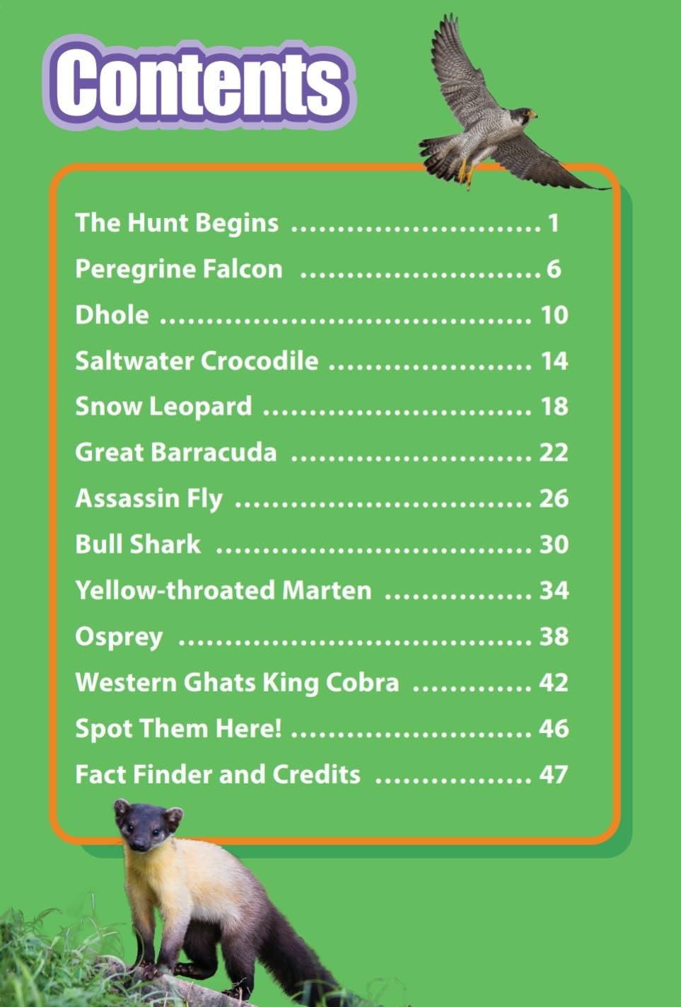 INDIA’S TOP PREDATORS : Wild About India - Engaging Book for Kids (Ages 5-15) - Fun Facts, Trivia Questions and Answers to Teach Your Children about the Animal Kingdom - Retail Maharaj