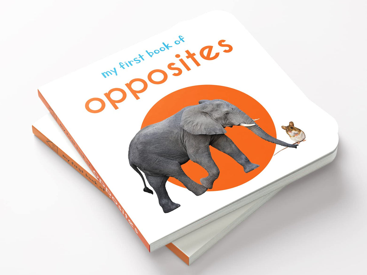 My First Book of Opposites | First Concept Board Book for Babies, Toddlers & Preschoolers | Learn Big–Small, Hot–Cold & More with Bright Pictures | Early Learning Book for Kids Ages 0-3 Years - Retail Maharaj