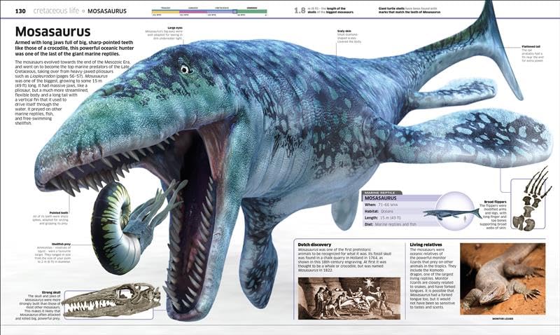 Knowledge Encyclopedia Dinosaur! Our Prehistoric World As You've Never Seen Before - Retail Maharaj