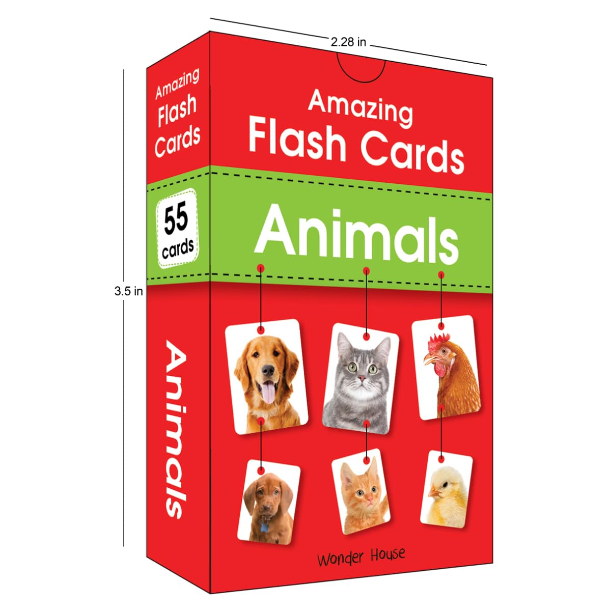 Wonder House Amazing Flash Cards Animals: Early Development Of Preschool Toddler (55 Cards),Creative_Thinking - Retail Maharaj