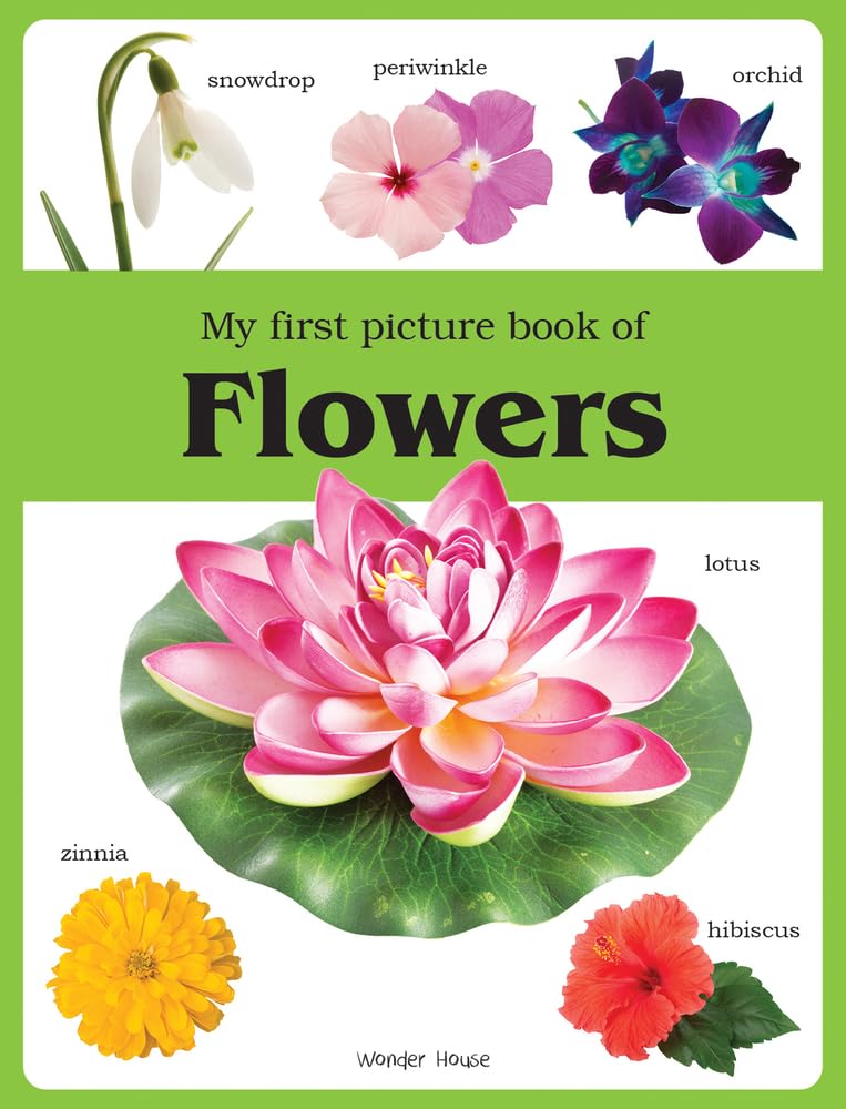 My first picture book of Flowers: Picture Books for Children - Retail Maharaj