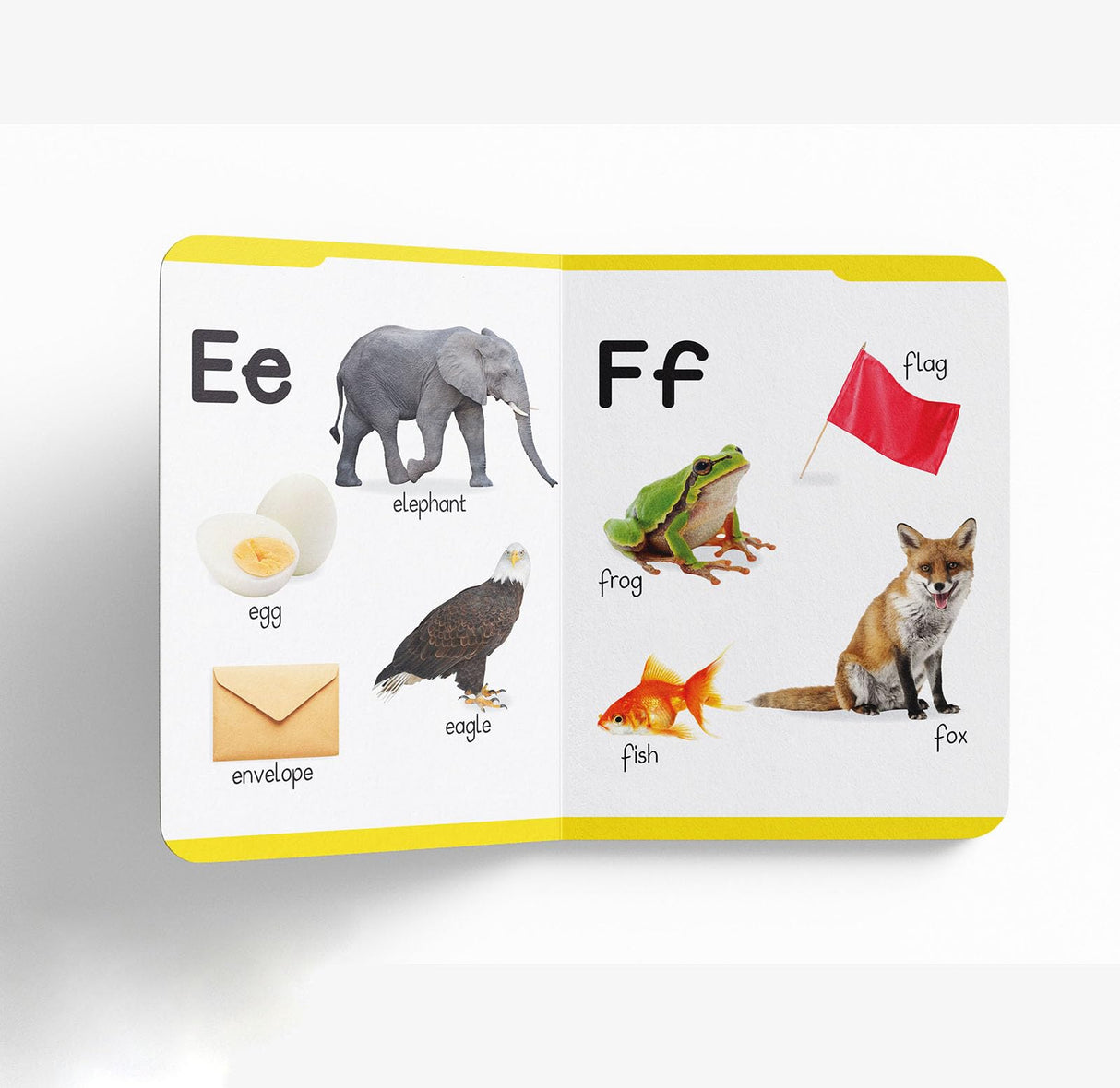 Early Learning Padded Book of Alphabet: Board Book for Kids | Learn ABC with Bright and Colorful Pictures | Durable Padded Board Book for Babies, Toddlers & Preschoolers | Ages 0–5 Years - Retail Maharaj