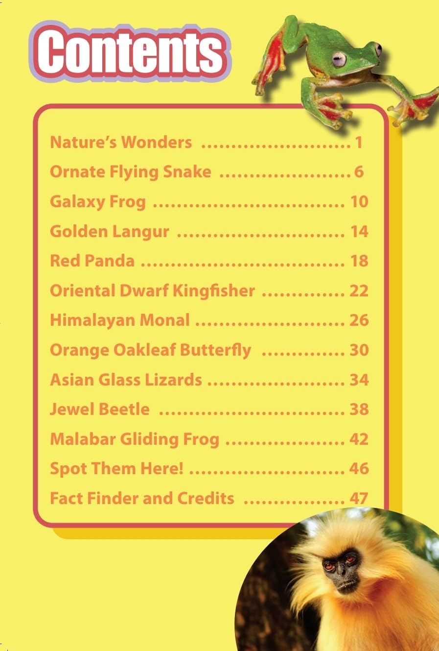 INDIA’S MOST BEAUTIFUL ANIMALS : Wild About India - Engaging Book for Kids (Ages 5-15) - Fun Facts, Trivia Questions and Answers to Teach Your Children about the Animal Kingdom - Retail Maharaj