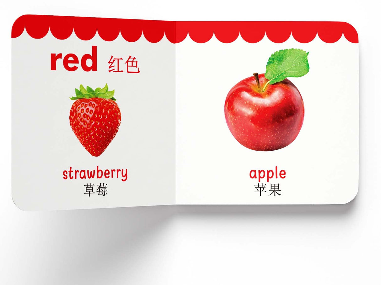 My First English-Chinese Learning Library : Bilingual Boxset of 10 Picture Board Books for Kids - Retail Maharaj