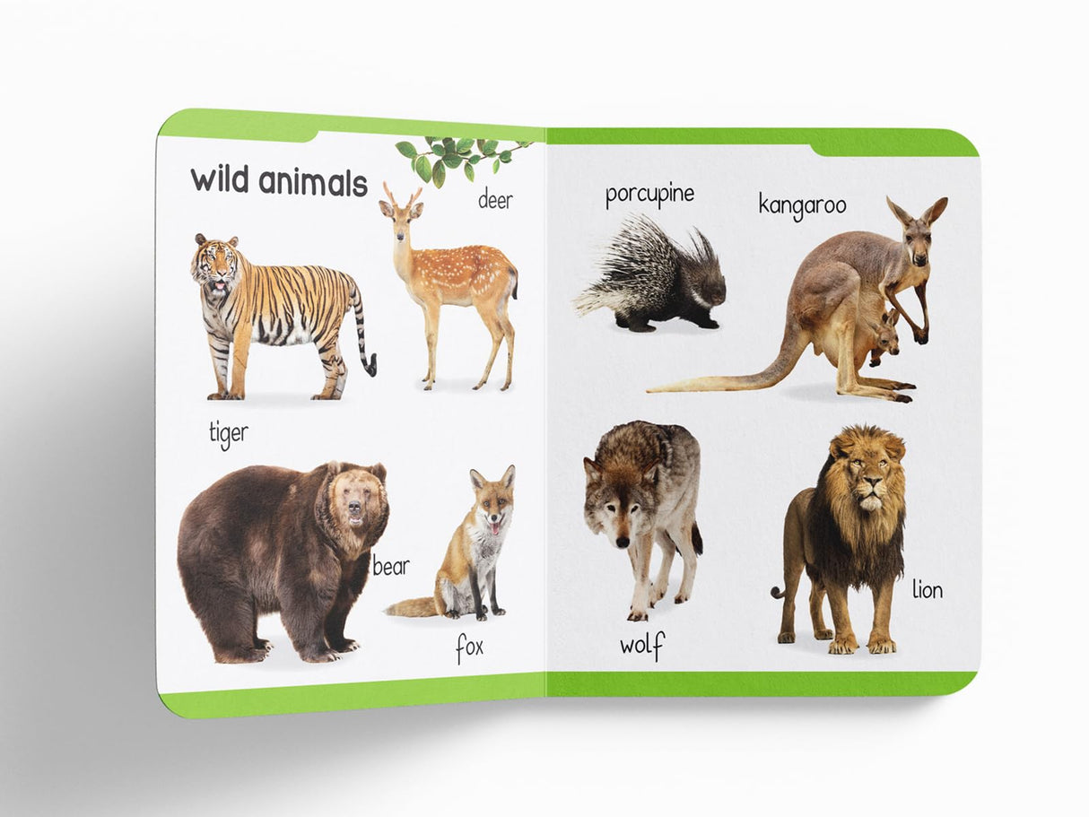 Early Learning Padded Book of Animals: Board Book for Kids | Learn About Wild Animals, Farm Animals, Pets & Birds with Bright, Engaging Pictures | Durable Padded Board Book for Babies, Toddlers & Preschoolers | Ages 0–5 Years - Retail Maharaj