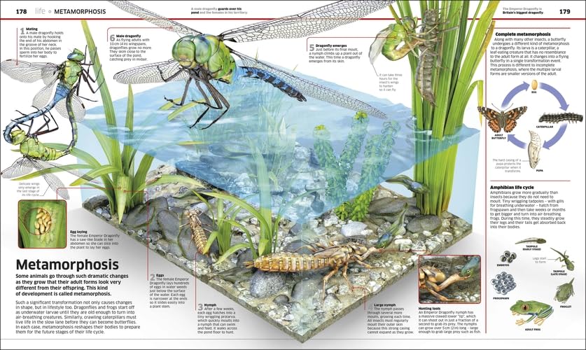 Knowledge Encyclopedia: Science!: Science As You've Never Seen It Before - Retail Maharaj