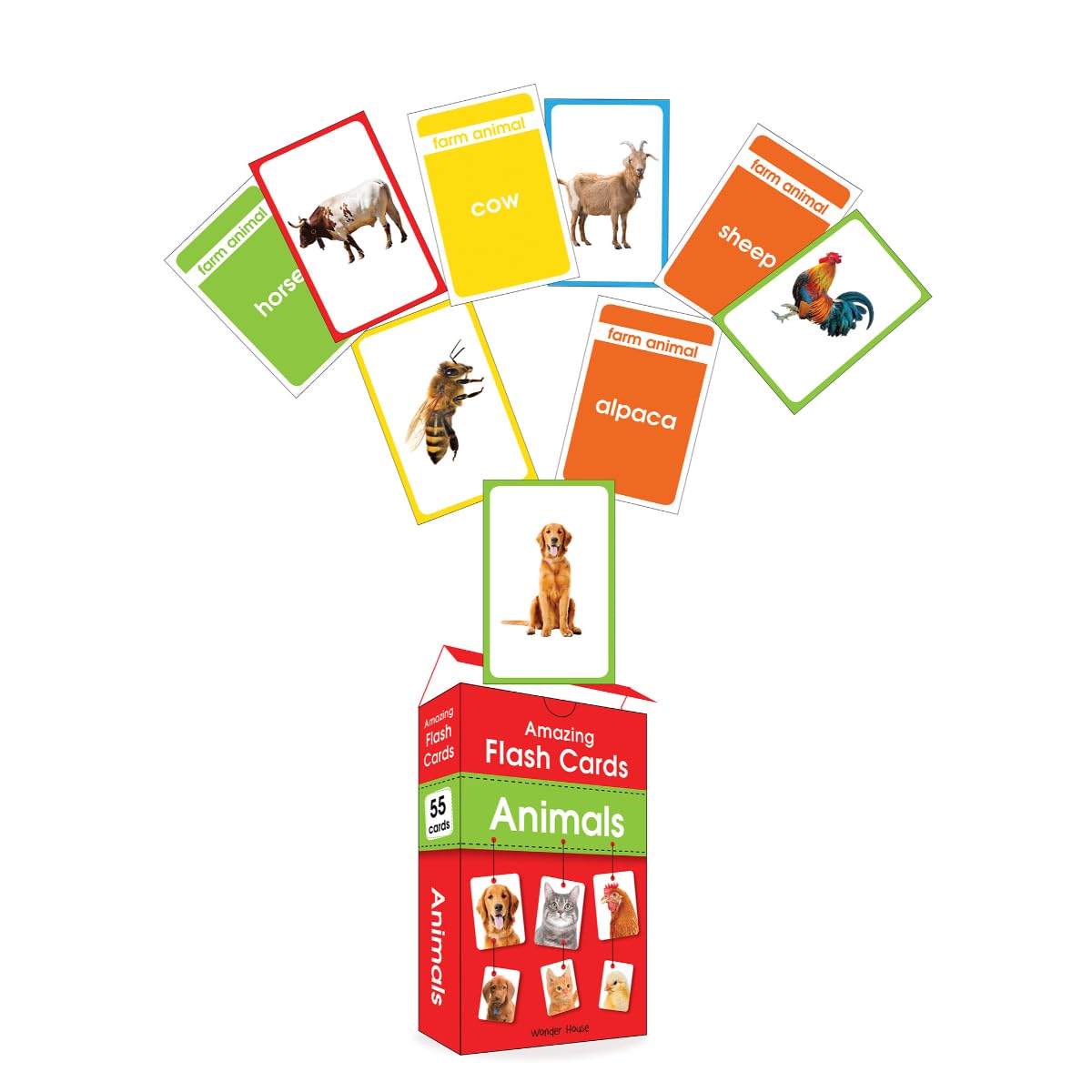 Wonder House Amazing Flash Cards Animals: Early Development Of Preschool Toddler (55 Cards),Creative_Thinking - Retail Maharaj