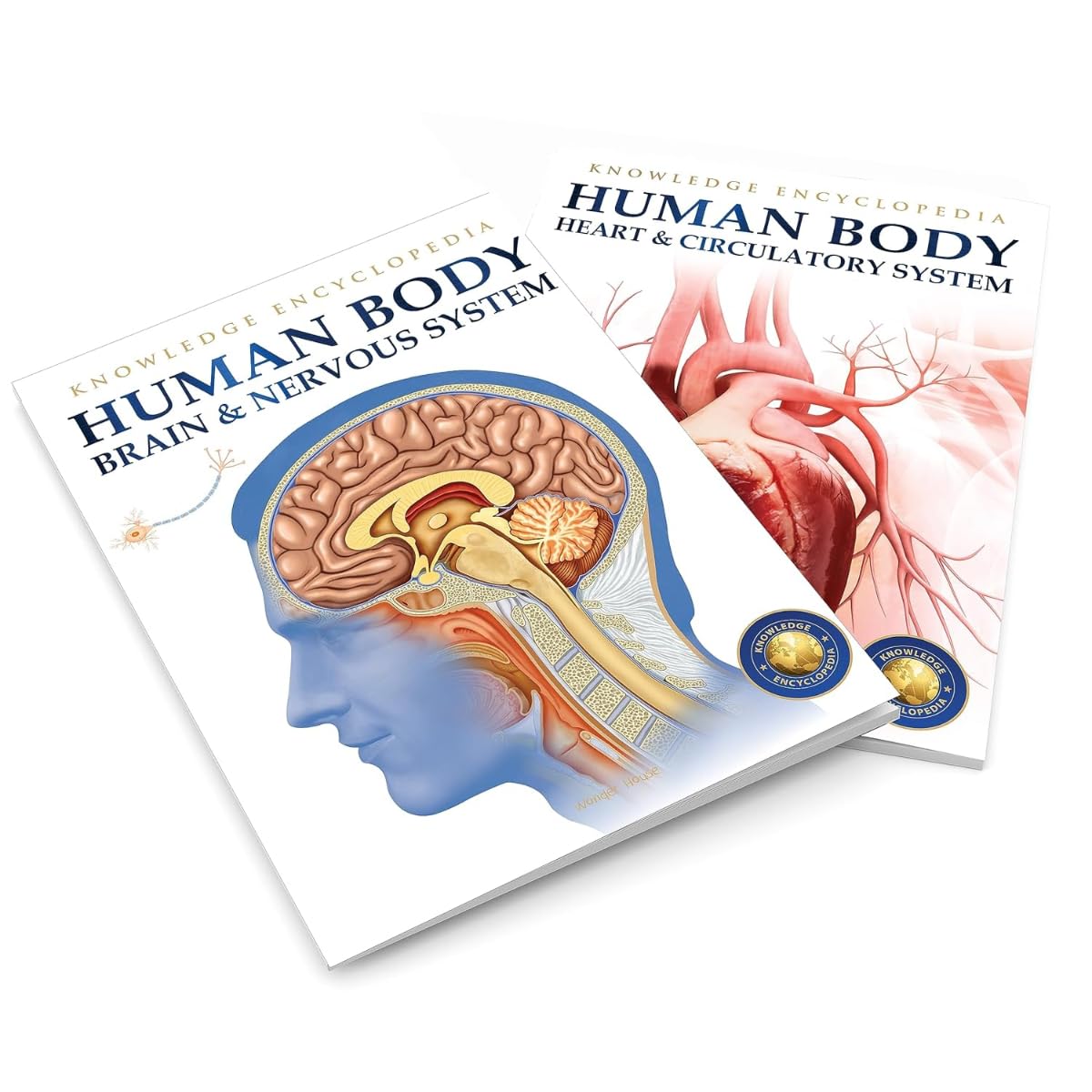 Human Body Box Set: Knowledge Encyclopedia For Children - Retail Maharaj