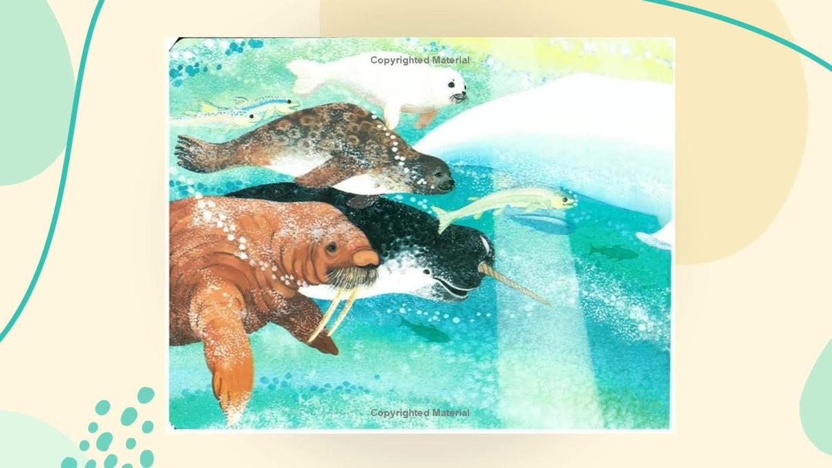 Baby Beluga (Raffi Songs to Read) - Retail Maharaj
