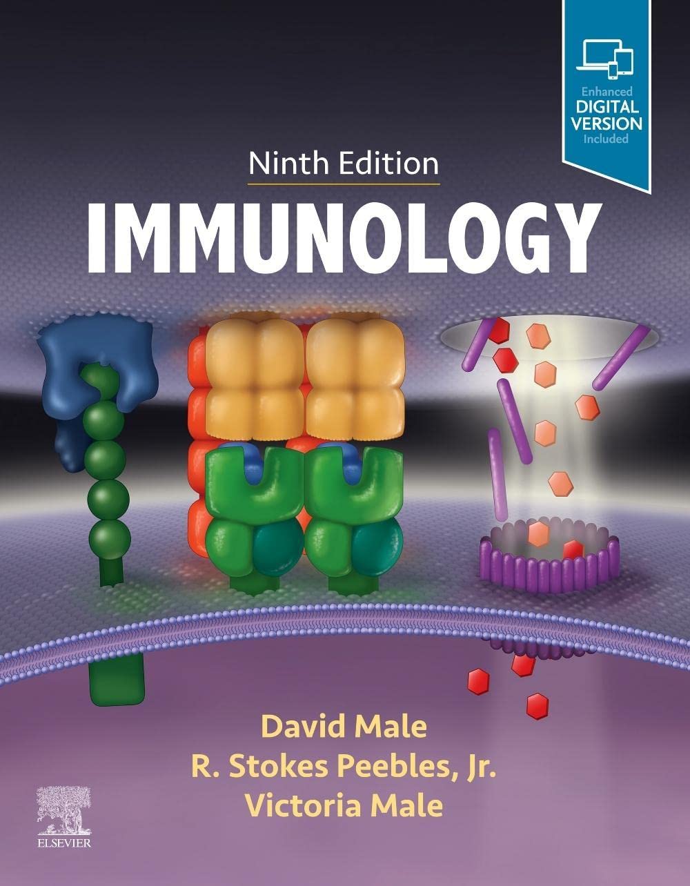 IMMUNOLOGY - Retail Maharaj