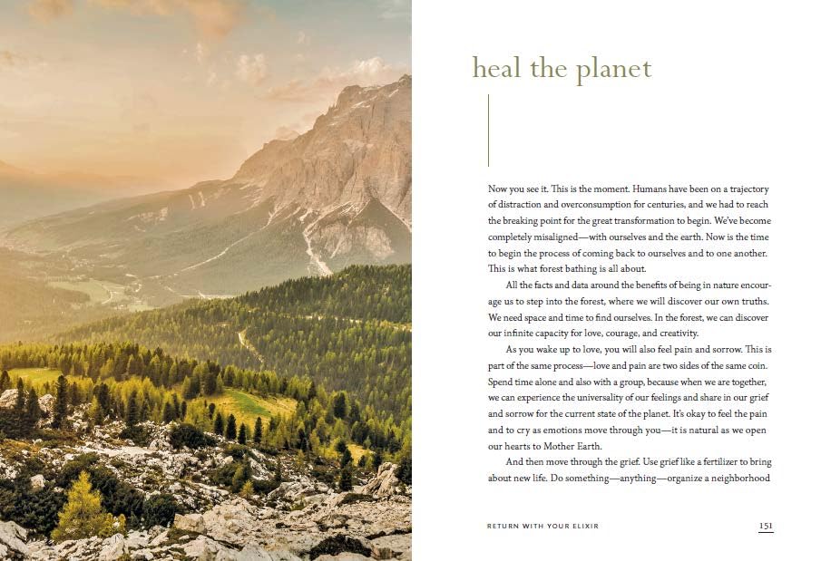 The Healing Magic of Forest Bathing: Finding Calm, Creativity, and Connection in the Natural World - Retail Maharaj