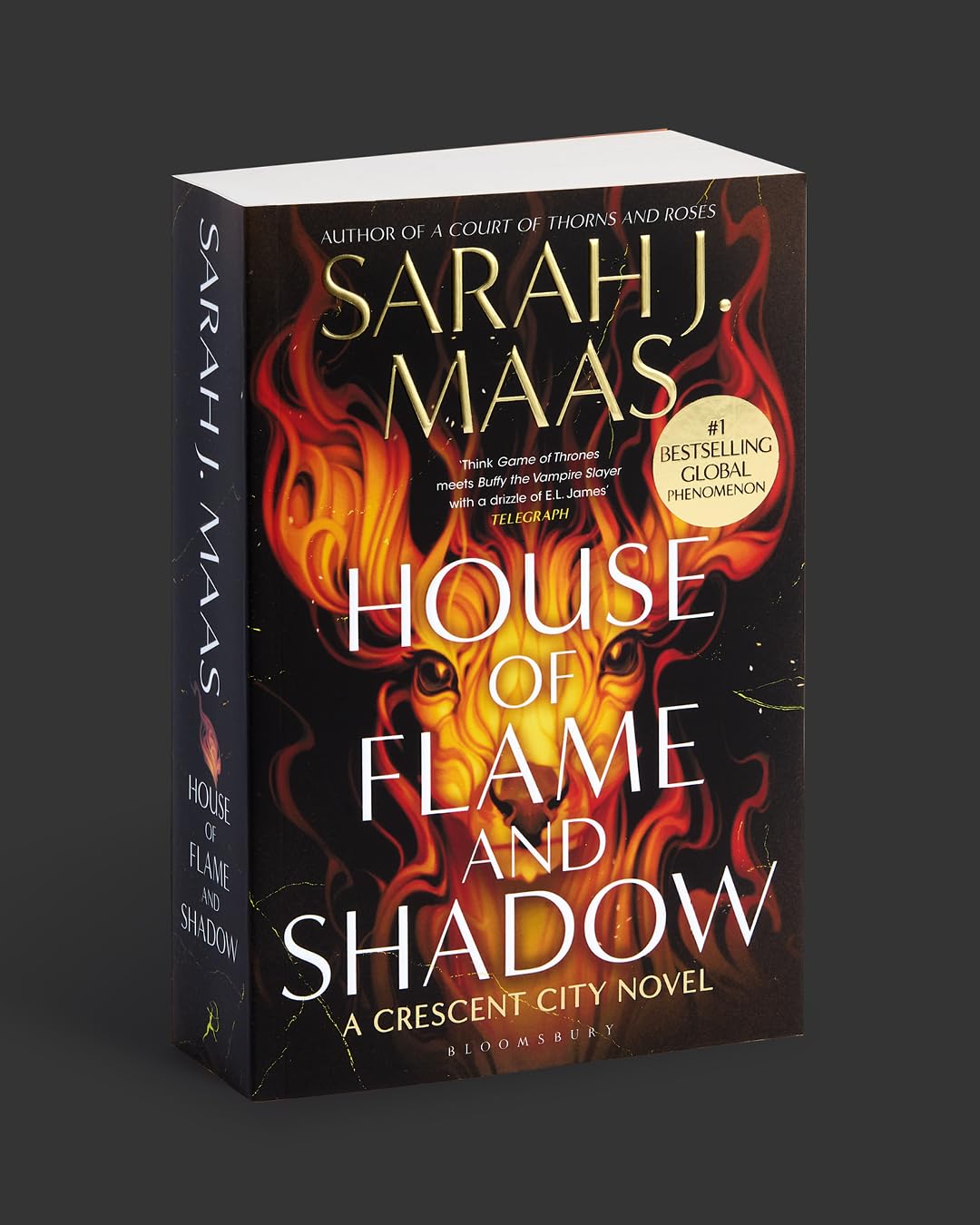 House of Flame and Shadow: The INTERNATIONAL BESTSELLER and the smouldering third book in the Crescent City series, from the creator of ACOTAR - Retail Maharaj